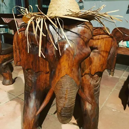 Ibiza Paradise 住宿加早餐酒店 *