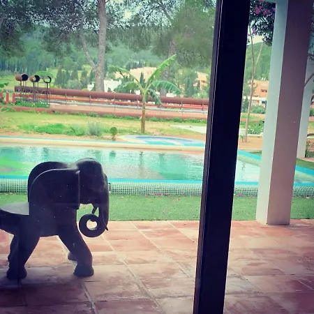 住宿加早餐酒店 Ibiza Paradise