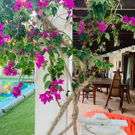 Ibiza Paradise 圣埃乌拉利亚