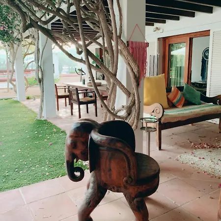 Ibiza Paradise Couette-café