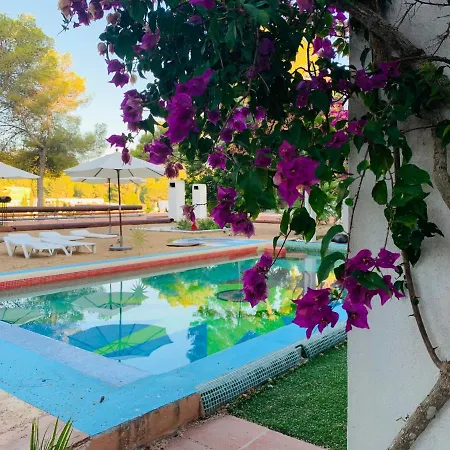 Bed & Breakfast Ibiza Paradise