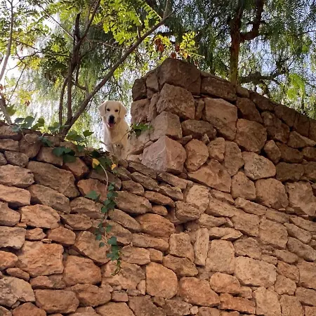 Panzió Ibiza Paradise